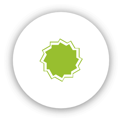 Captika Software